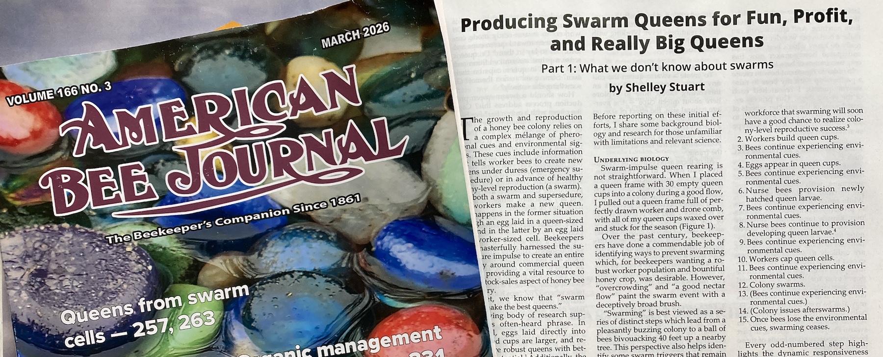 A splash of the March ABJ with part one of swarm queen displayed. Link available after embargo.